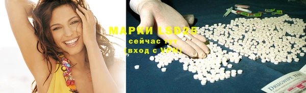 PSILOCYBIN Няндома