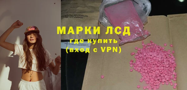 PSILOCYBIN Няндома