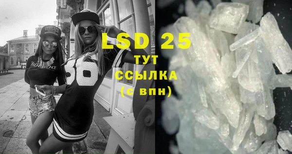 PSILOCYBIN Няндома