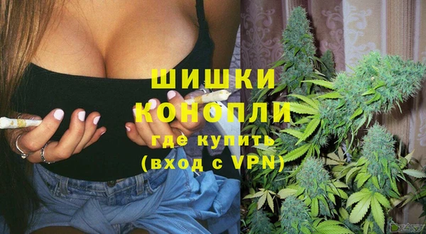 PSILOCYBIN Няндома