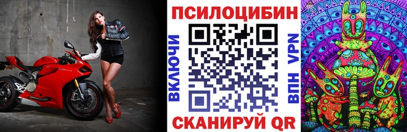 Купить  Рошаль  Псилоцибиновые грибы MAGIC MUSHROOMS 